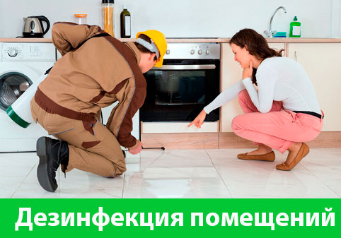 Дезинфекция офисов от коронавируса в городе Ржев