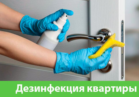 Дезинфекция квартиры в городе Ржев