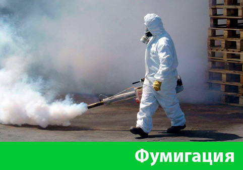Фумигация в городе Ржев
