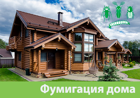 Преимущества обработки газом в городе Ржев