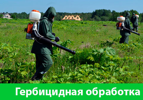 Гербицидная обработка в городе Ржев