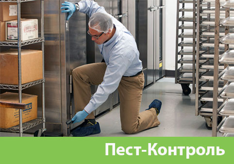 Пэст-Контроль в городе Ржев