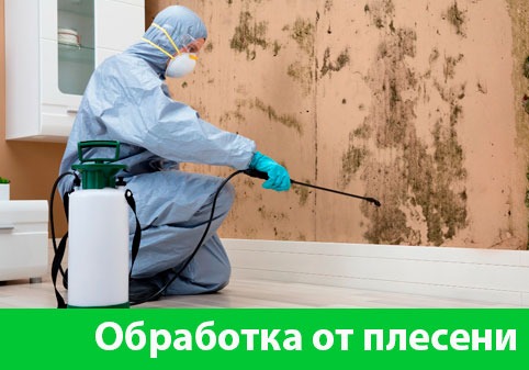 Обработка от плесени в городе Ржев
