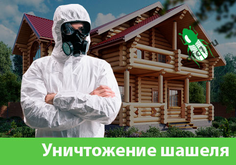 Уничтожение шашеля и личинок в Ржеве